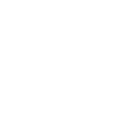 Flexible Leasing Models