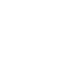 Extensive Global Network